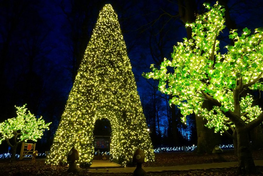 Commercial Christmas Decorators Springfield Decorations