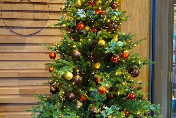 premium artificial Christmas tree decorated and lit in the reception area at Center Parcs, Ireland